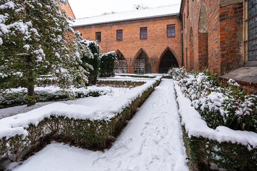 Wirydarz w Muzeum Architektury we Wrocławiu